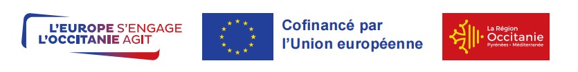 European Union Logo